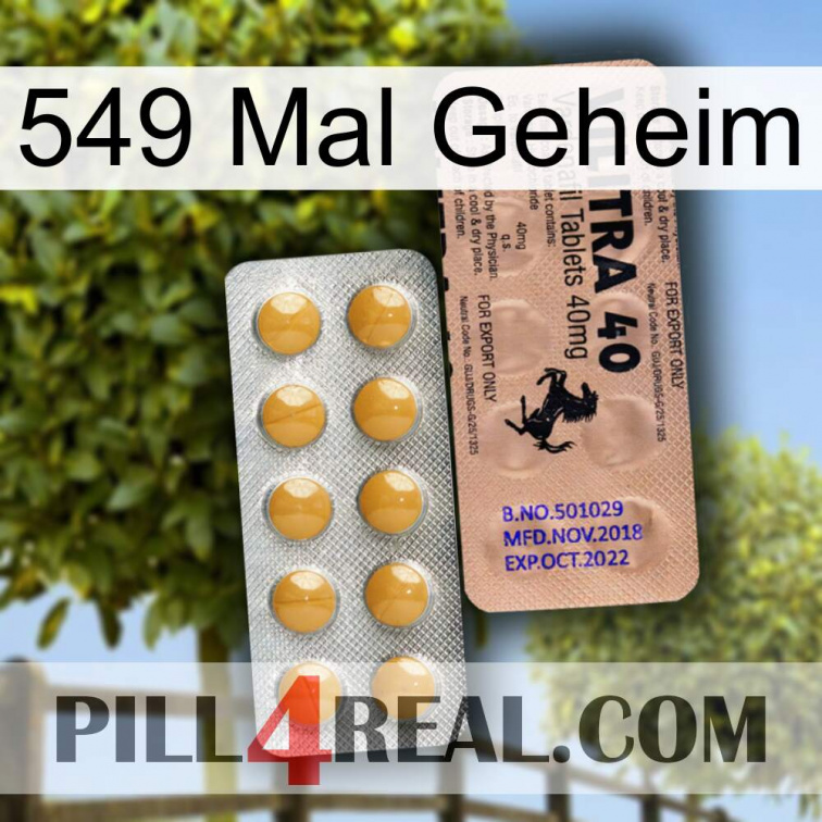 549 Times Secret 41